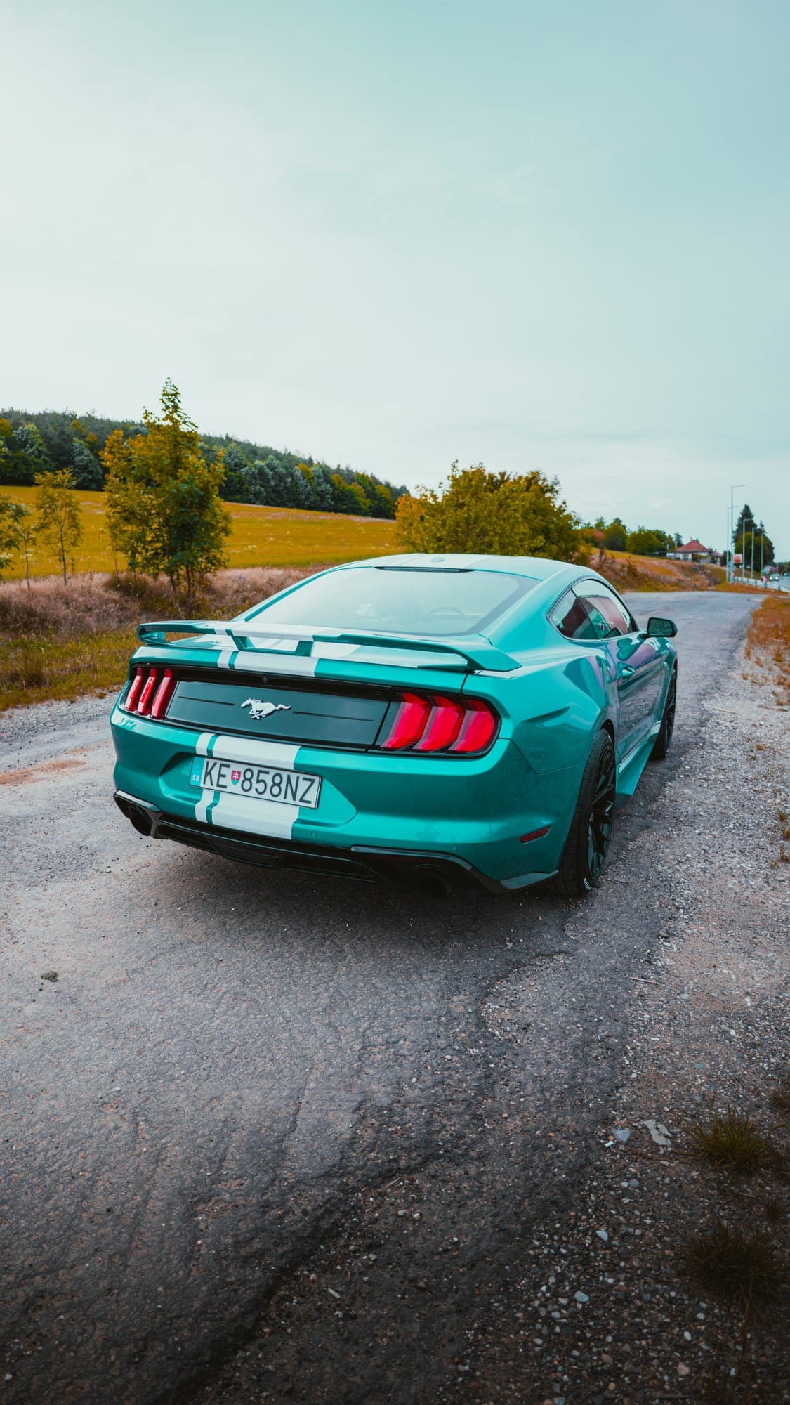 Tyrkysový Ford Mustang na ceste nad morom