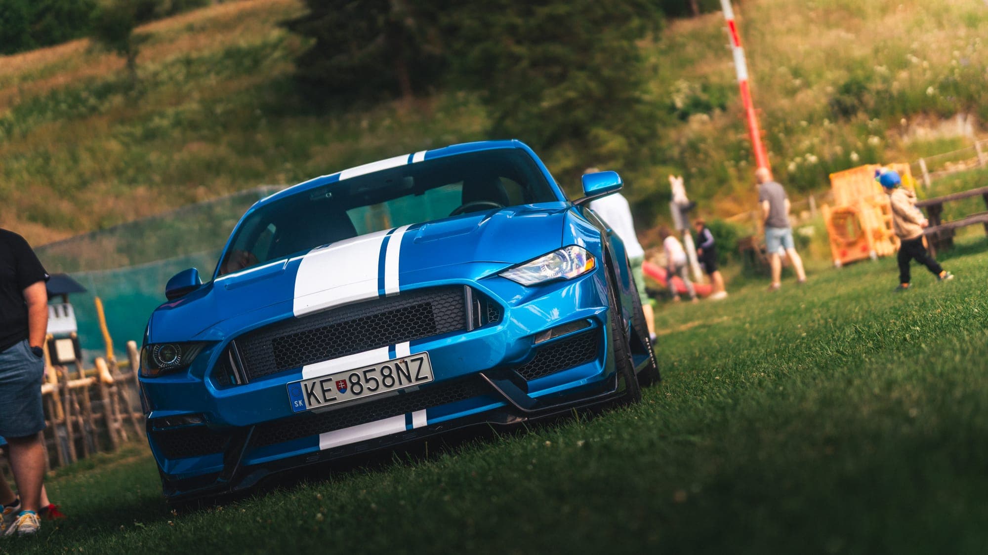 Modrý Mustang s bielymi pruhmi na lúke