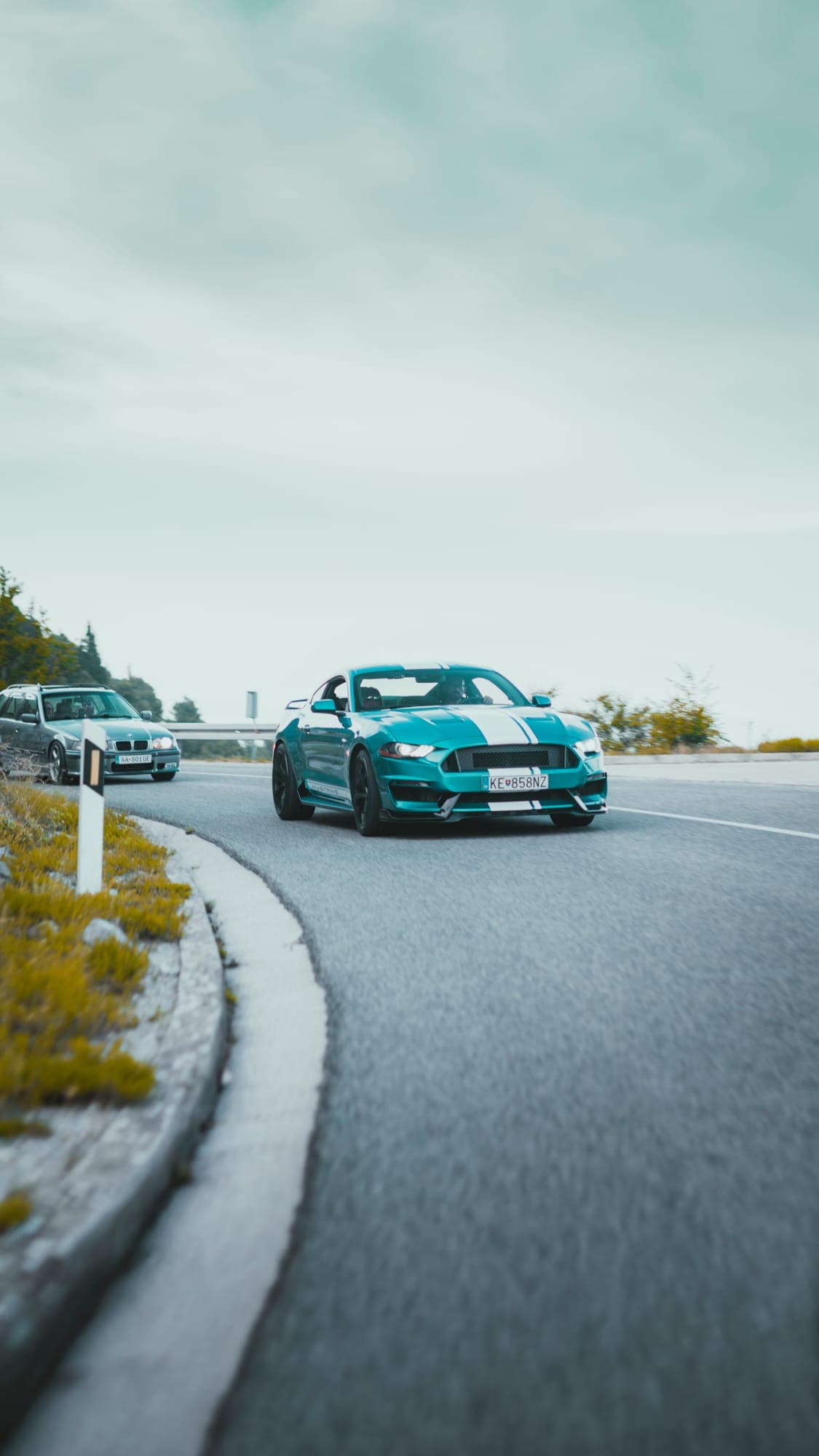 Mustang na ceste nad morom