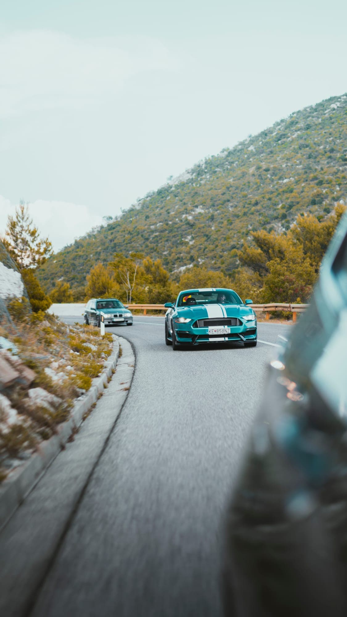 Mustang v zákrute pobrežnej cesty
