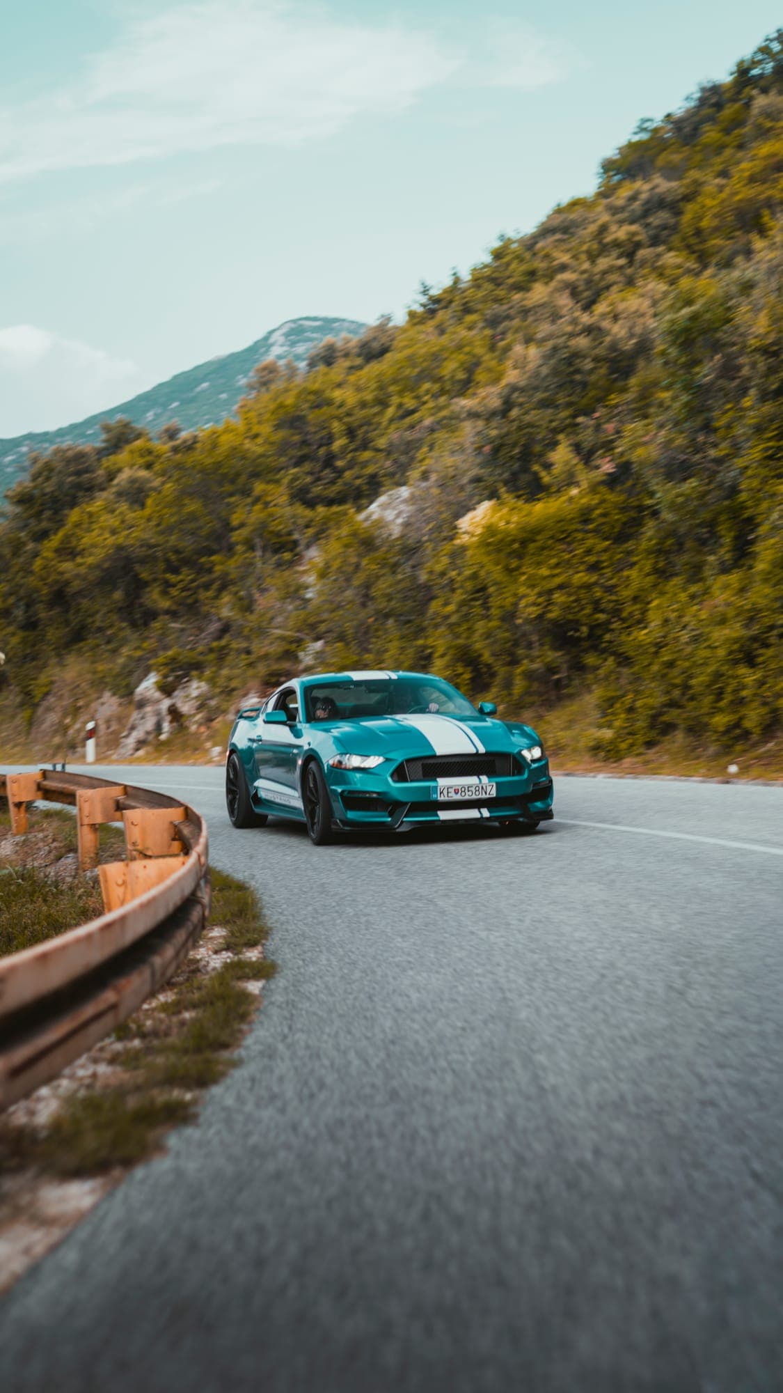 Mustang na horskej ceste medzi zeleňou